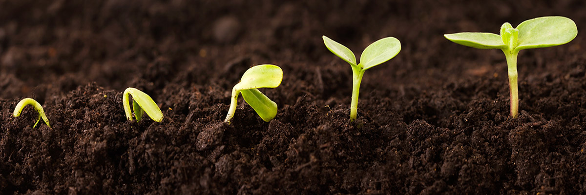 Keeping your culture as the business scales